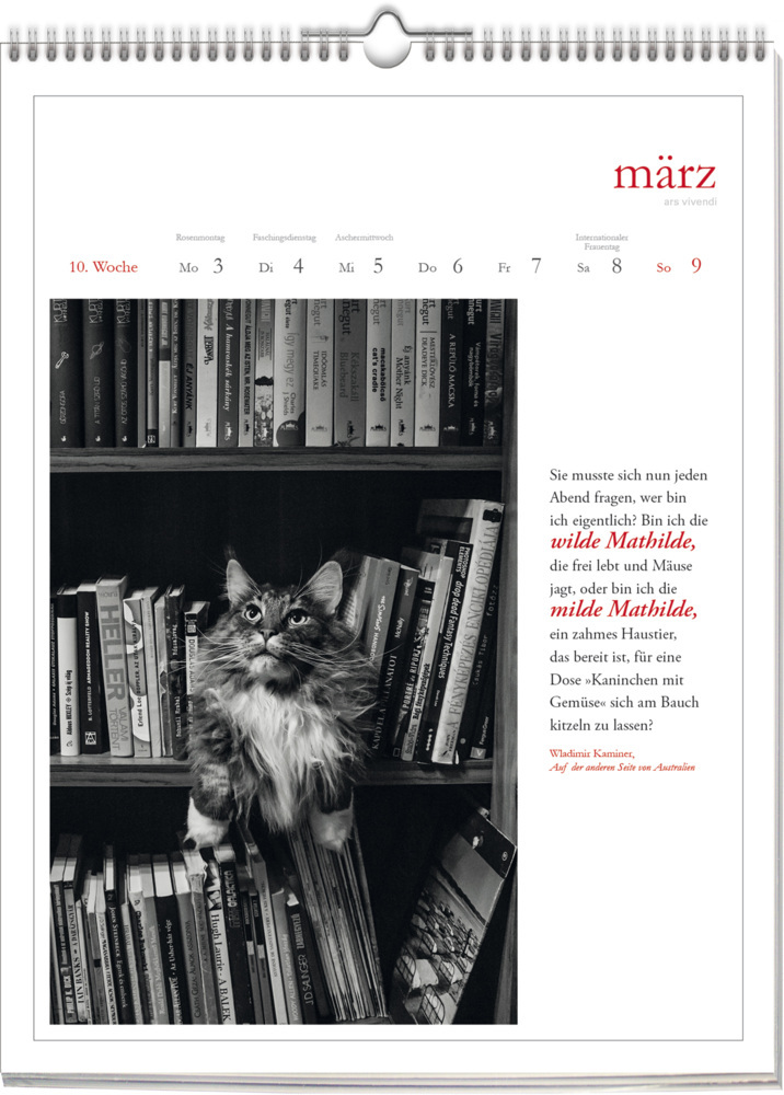 Bild: 9783747205655 | Katzen - Literarisch durchs Jahr 2025 | Wochenkalender | Kalender