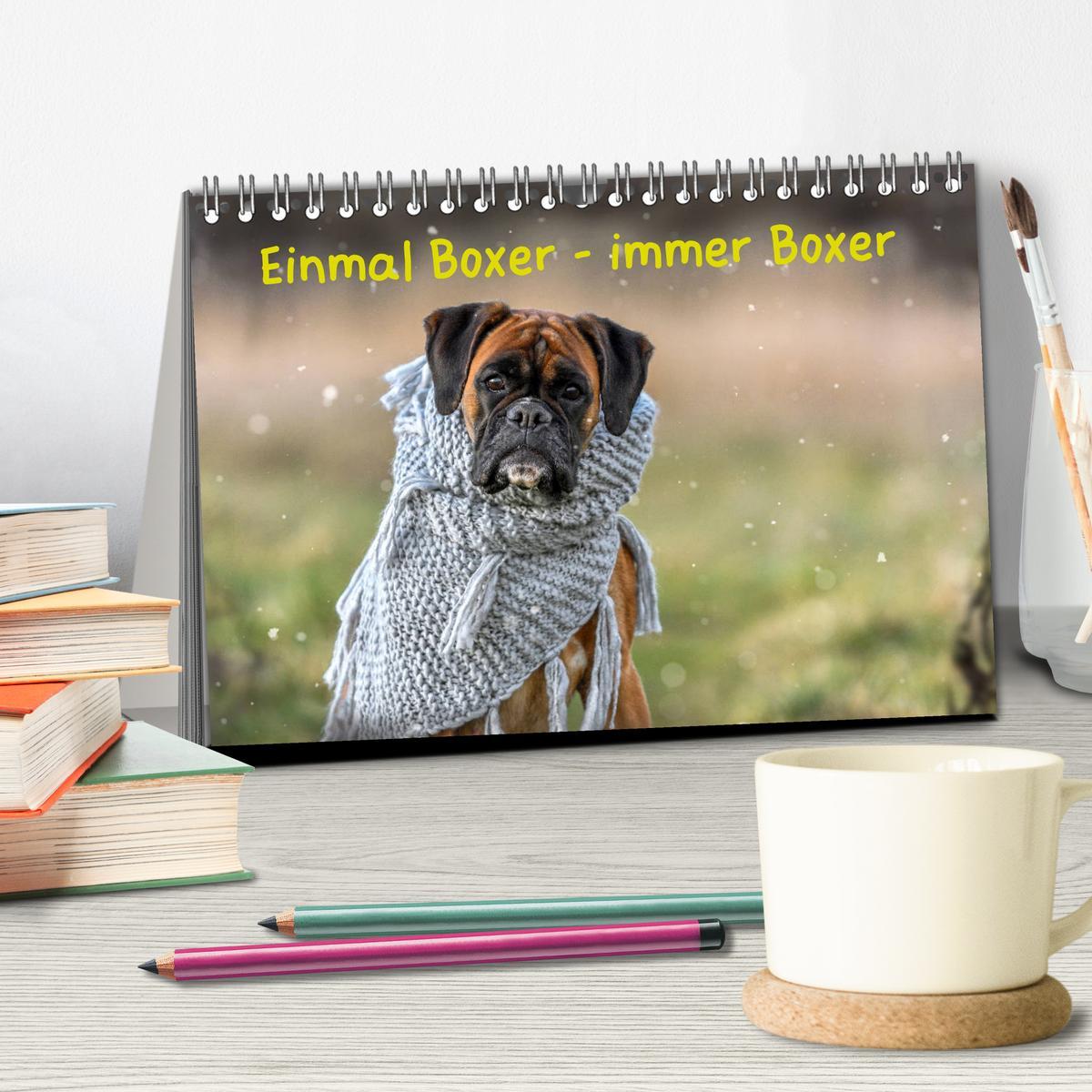 Bild: 9783435178575 | Einmal Boxer - immer Boxer (Tischkalender 2025 DIN A5 quer),...