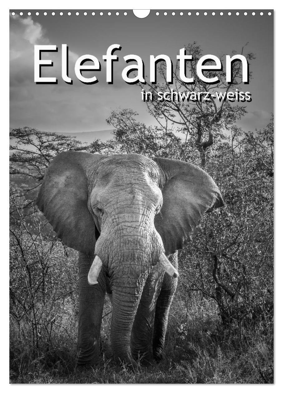 Cover: 9783383238598 | Elefanten in schwarz-weiss (Wandkalender 2024 DIN A3 hoch),...