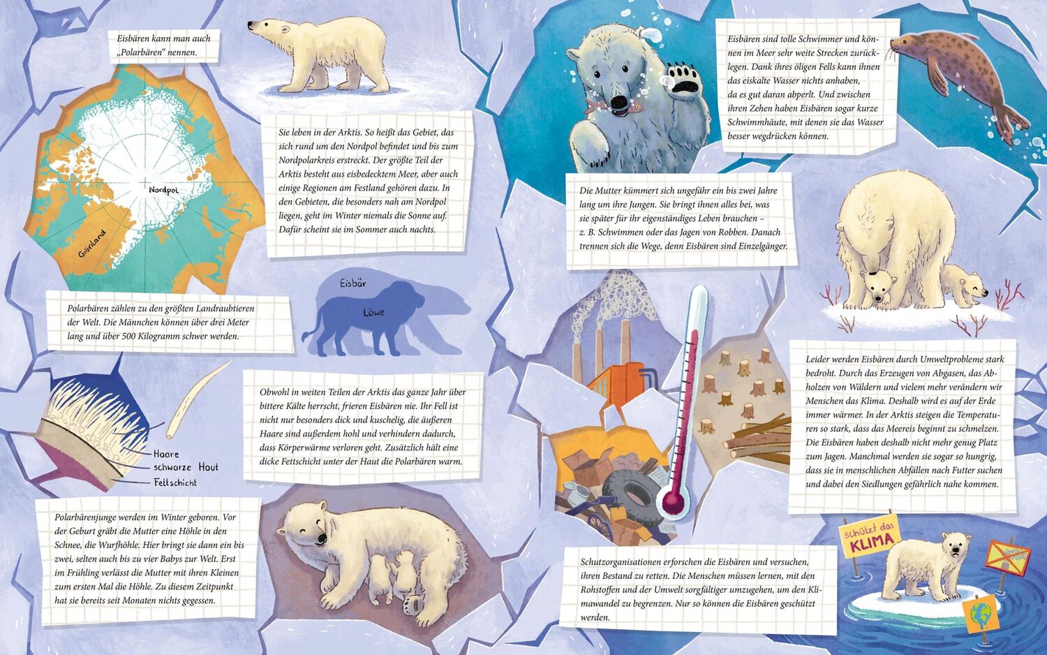 Bild: 9783734860195 | Der kleine Polarbär - Zu Hause in der Arktis | Scharmacher-Schreiber