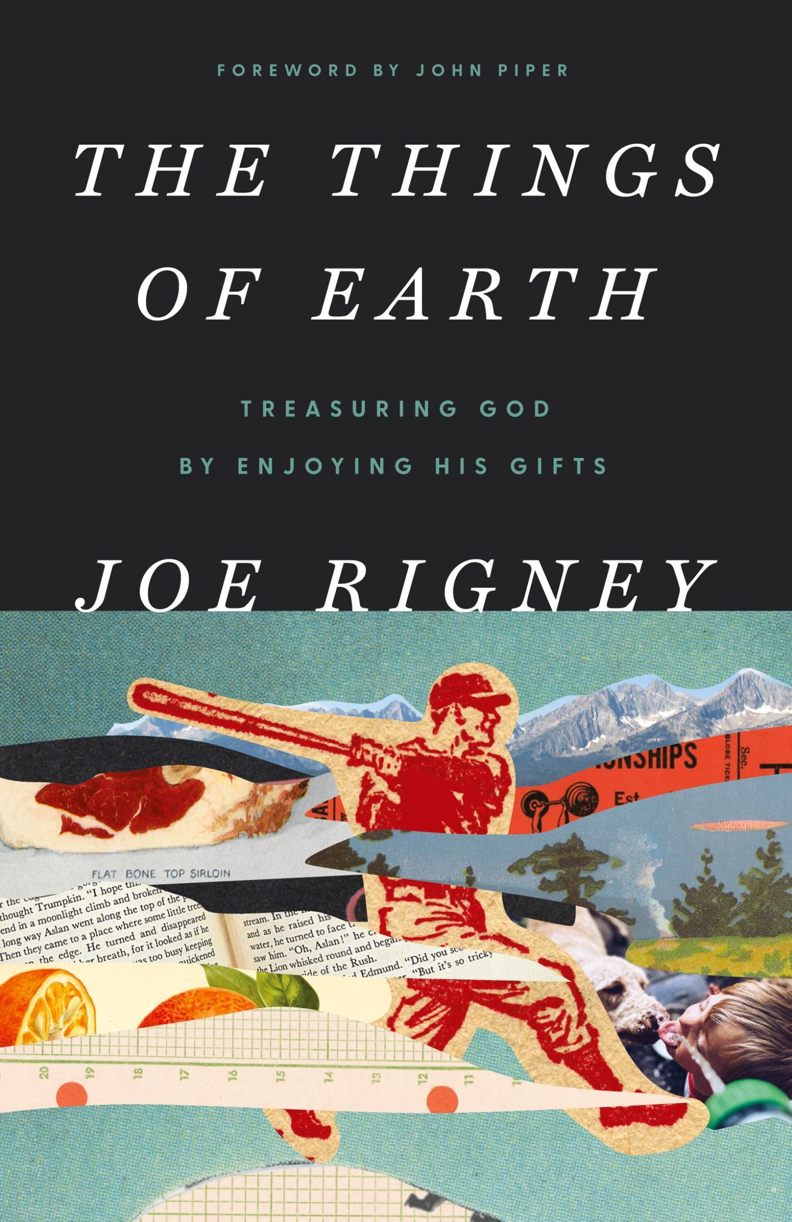 Cover: 9781591280095 | The Things of Earth | Treasuring God by Enjoying His Gifts | Rigney