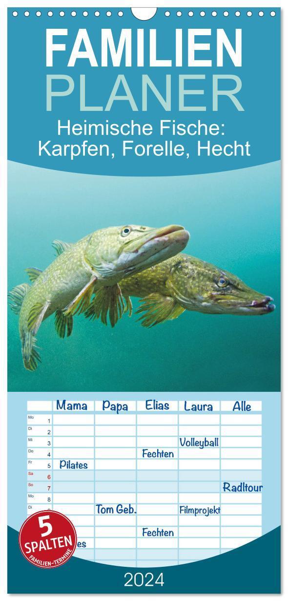 Cover: 9783383698552 | Familienplaner 2024 - Heimische Fische: Karpfen, Forelle, Hecht mit...