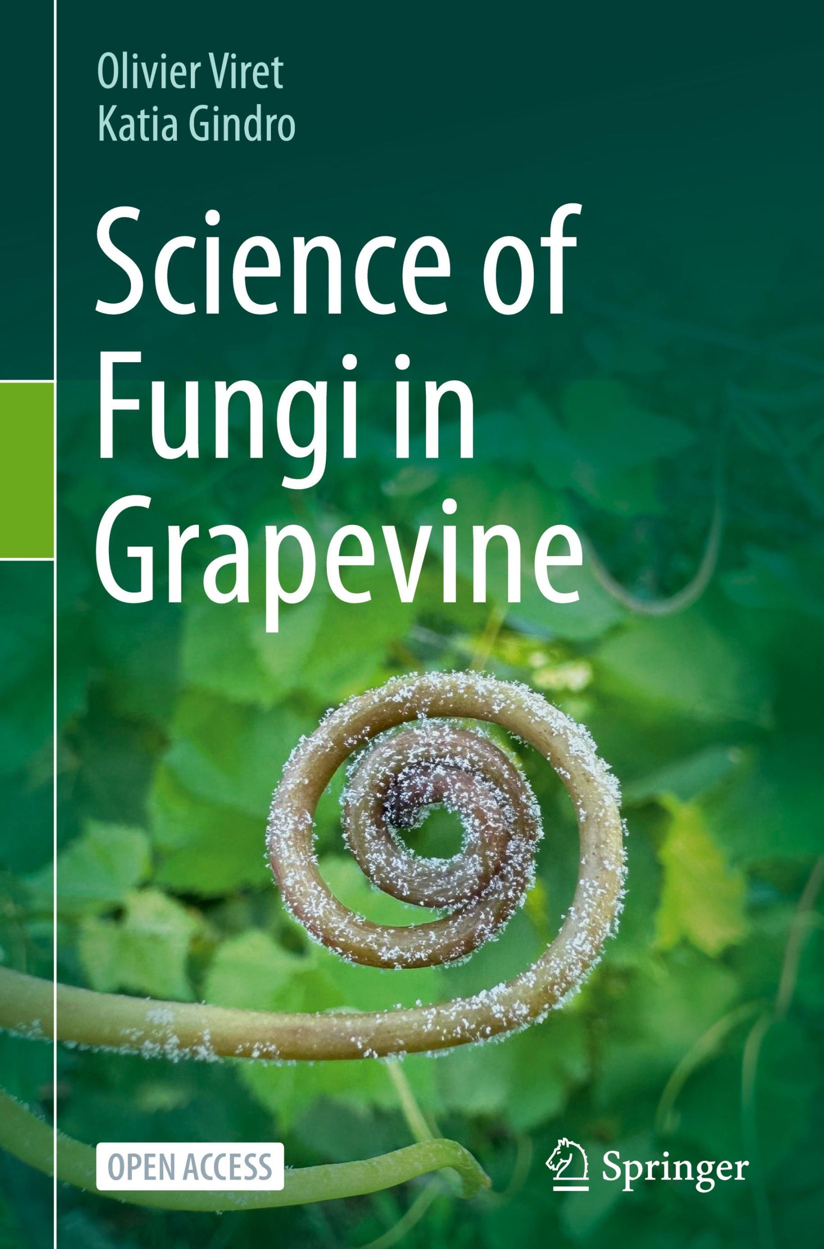 Cover: 9783031686627 | Science of Fungi in Grapevine | Katia Gindro (u. a.) | Buch | xviii