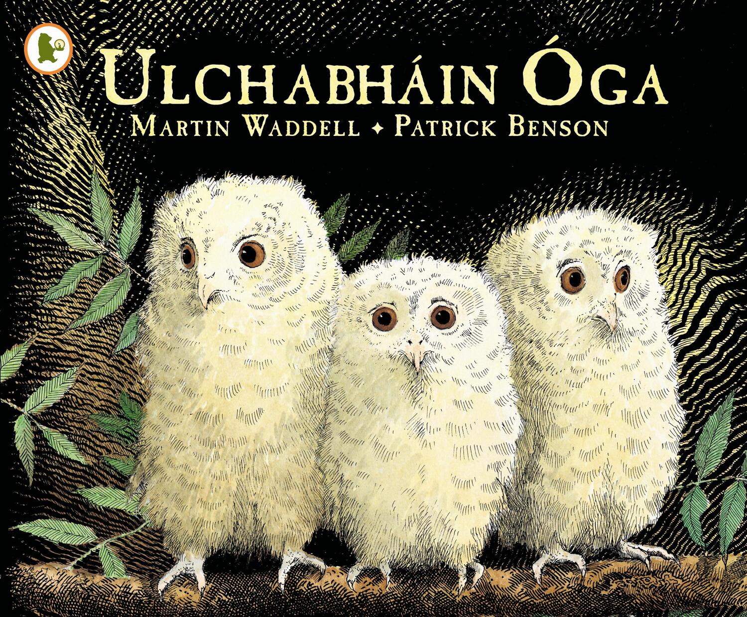 Cover: 9781406341126 | Ulchabhain Oga (Owl Babies) | Martin Waddell | Taschenbuch | Irisch