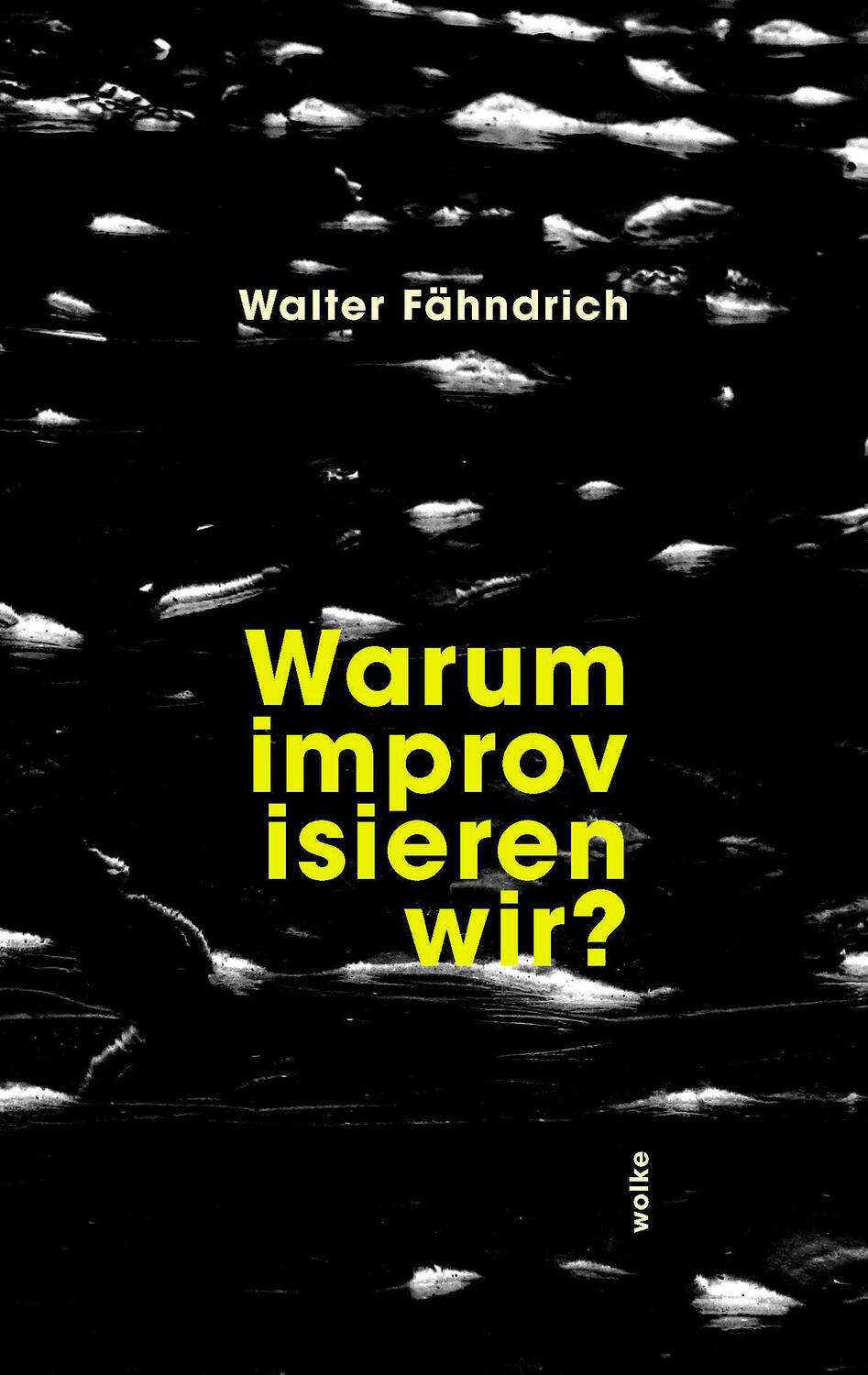 Cover: 9783955932701 | Warum improvisieren wir? | Walter Fähndrich | Taschenbuch | ? | 2024