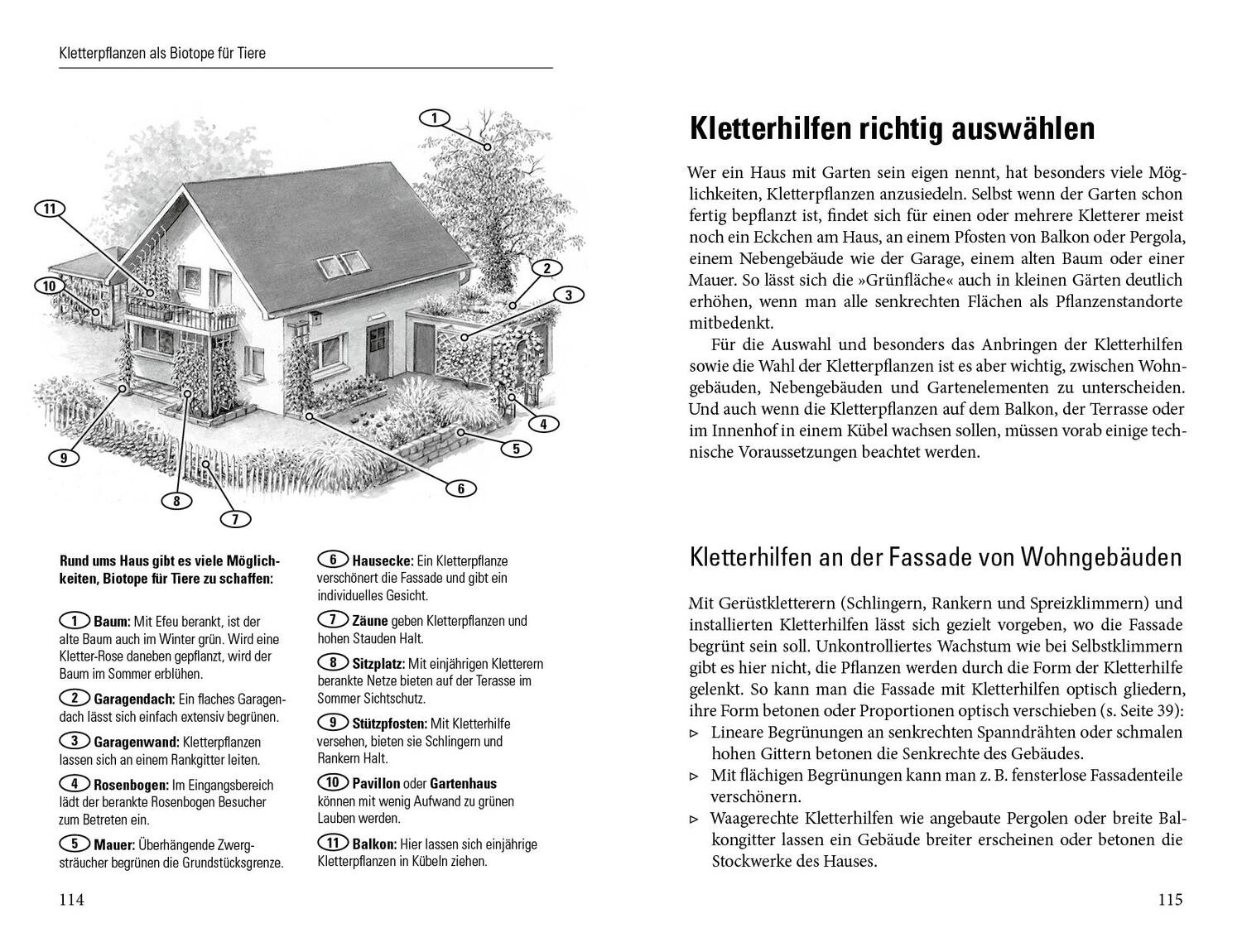 Bild: 9783895663390 | Grüne Wände für Haus und Garten | Brigitte Kleinod | Buch | Deutsch