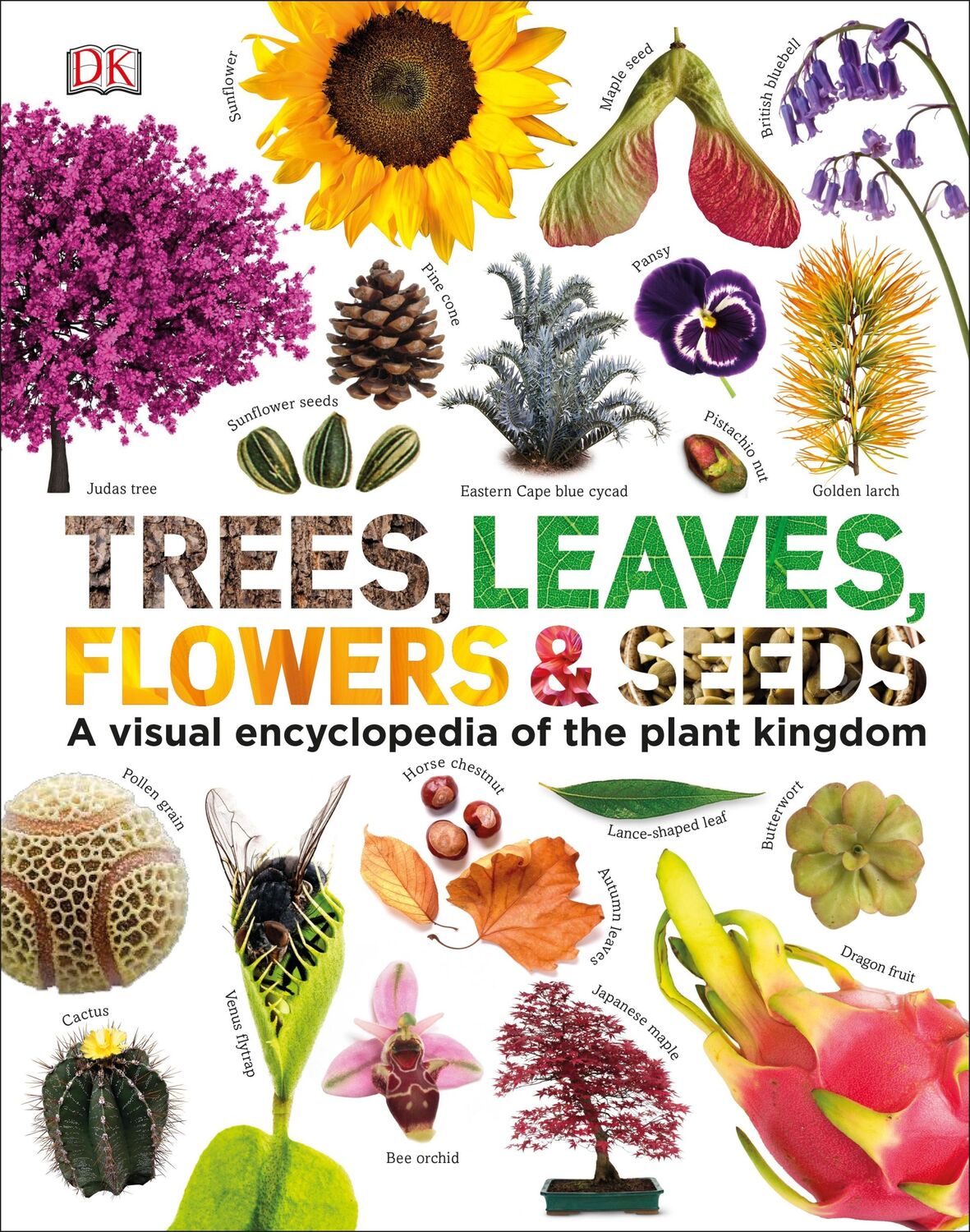 Cover: 9780241339923 | Our World in Pictures: Trees, Leaves, Flowers &amp; Seeds | Buch | 2019