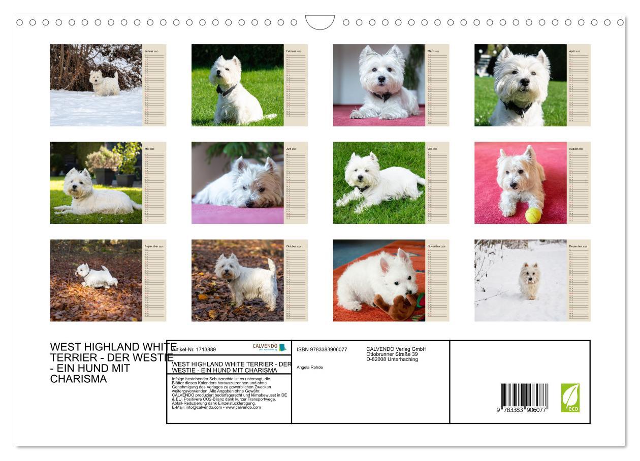 Bild: 9783383906077 | WEST HIGHLAND WHITE TERRIER - DER WESTIE - EIN HUND MIT CHARISMA...