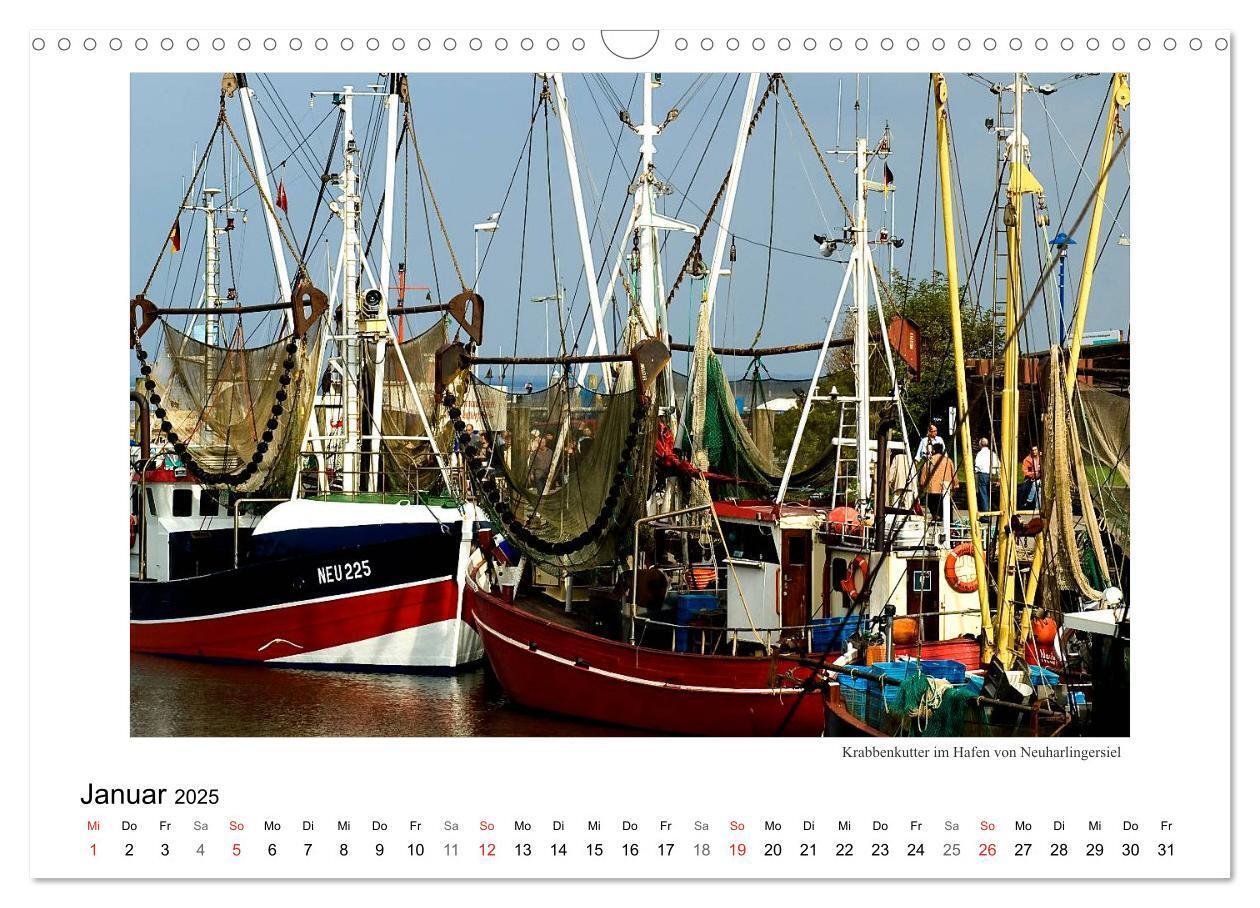 Bild: 9783435832392 | Krabbenkutter in Ostfriesland (Wandkalender 2025 DIN A3 quer),...