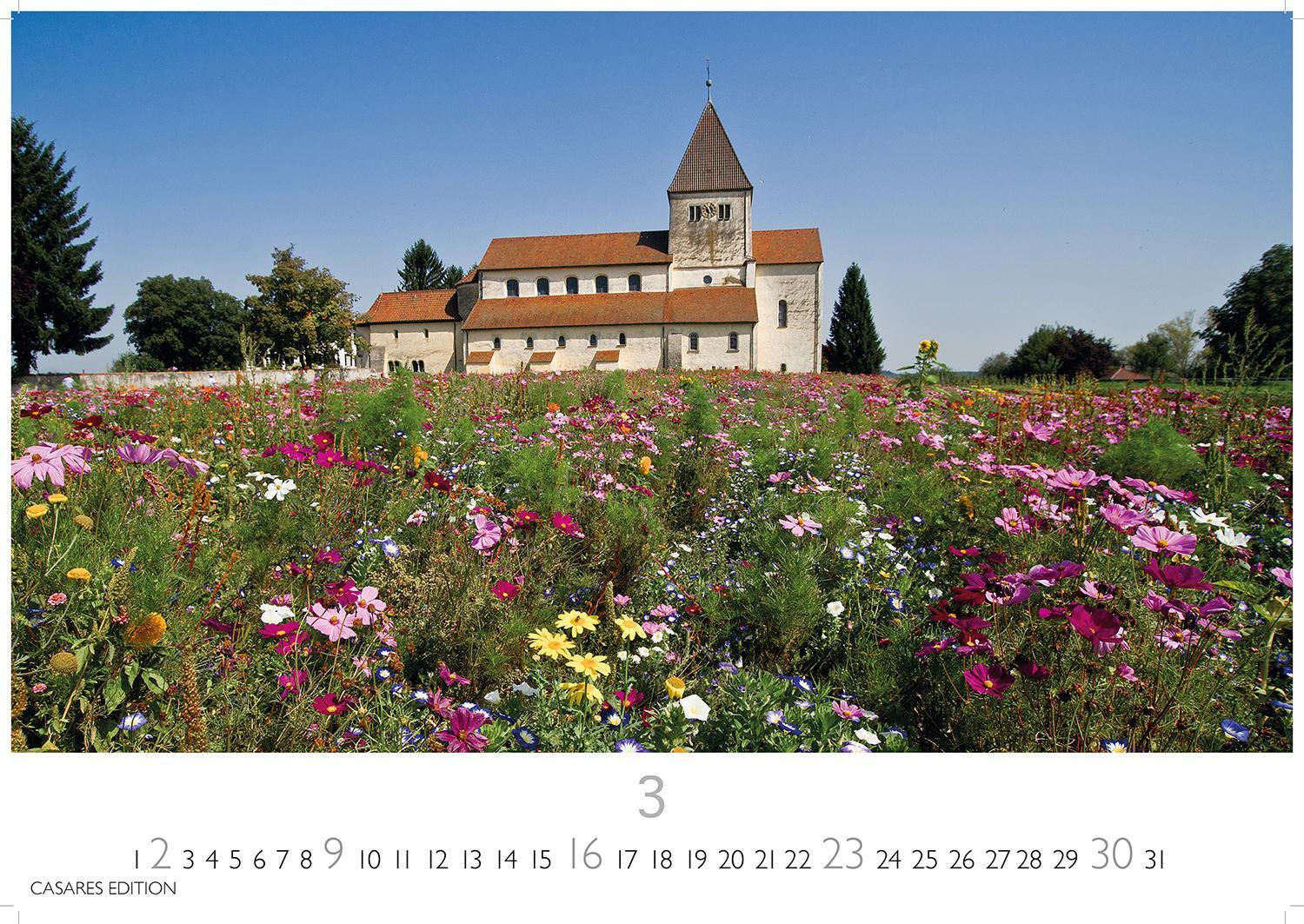 Bild: 9781835242186 | Blumenwiese 2025 L 35x50cm | Kalender | 14 S. | Deutsch | 2025