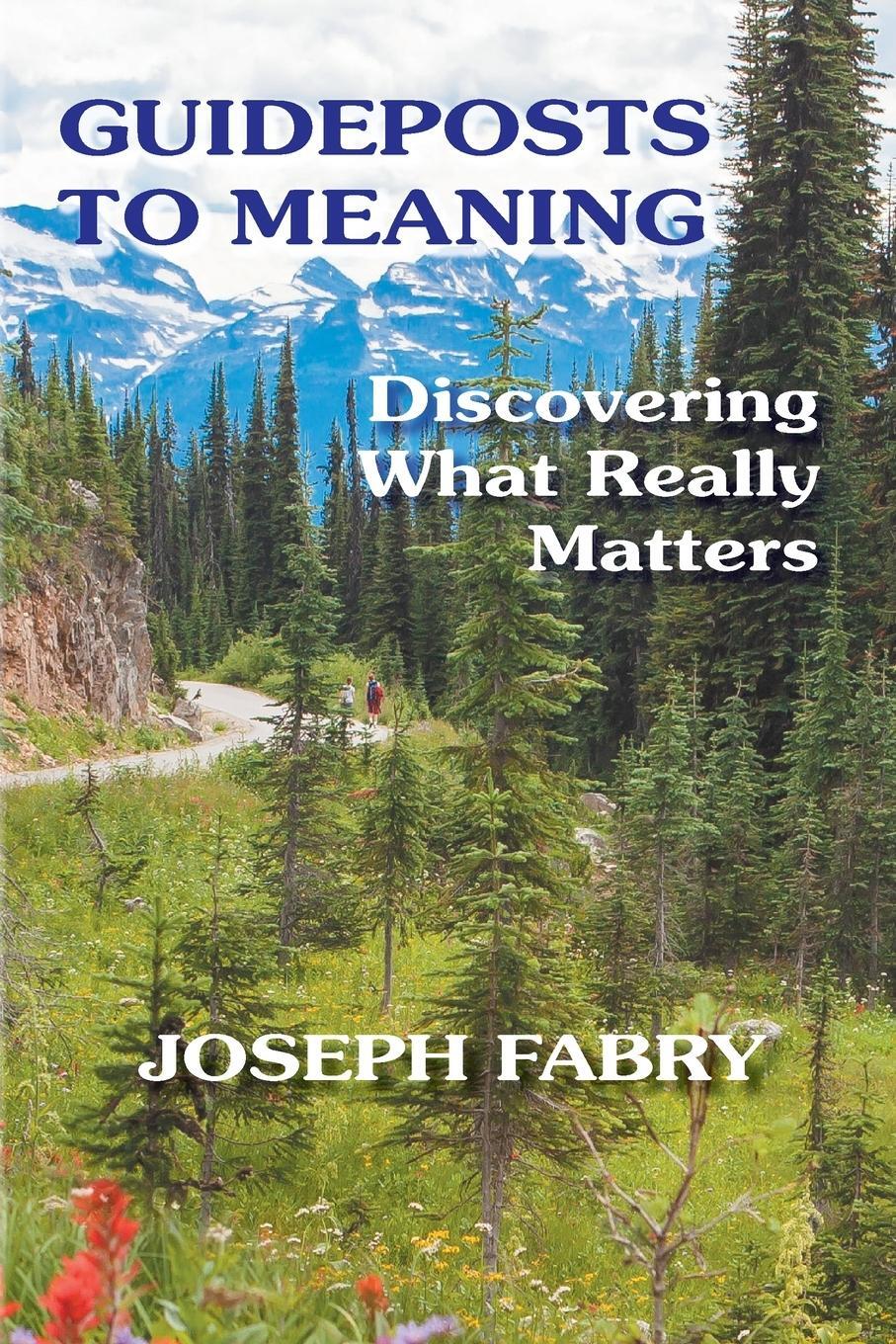 Cover: 9781948523059 | Guideposts to Meaning | Discovering What Really Matters | Fabry | Buch