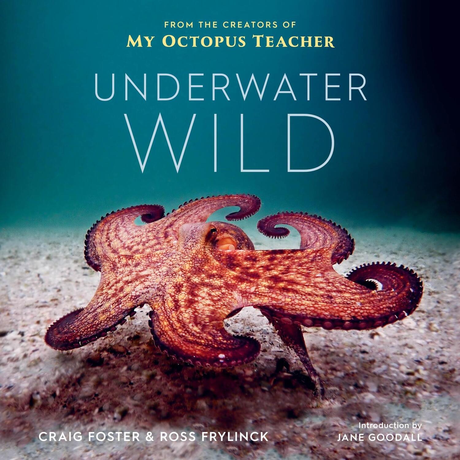 Cover: 9780358664758 | Underwater Wild | My Octopus Teacher's Extraordinary World | Buch