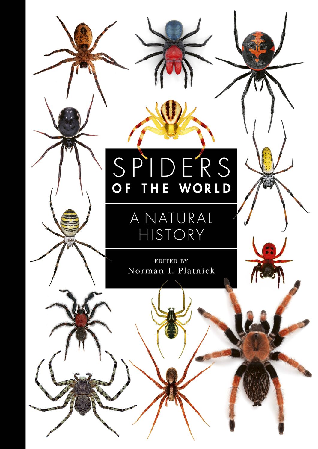 Cover: 9781782407508 | Spiders of the World | A Natural History | Norman Platnick | Buch