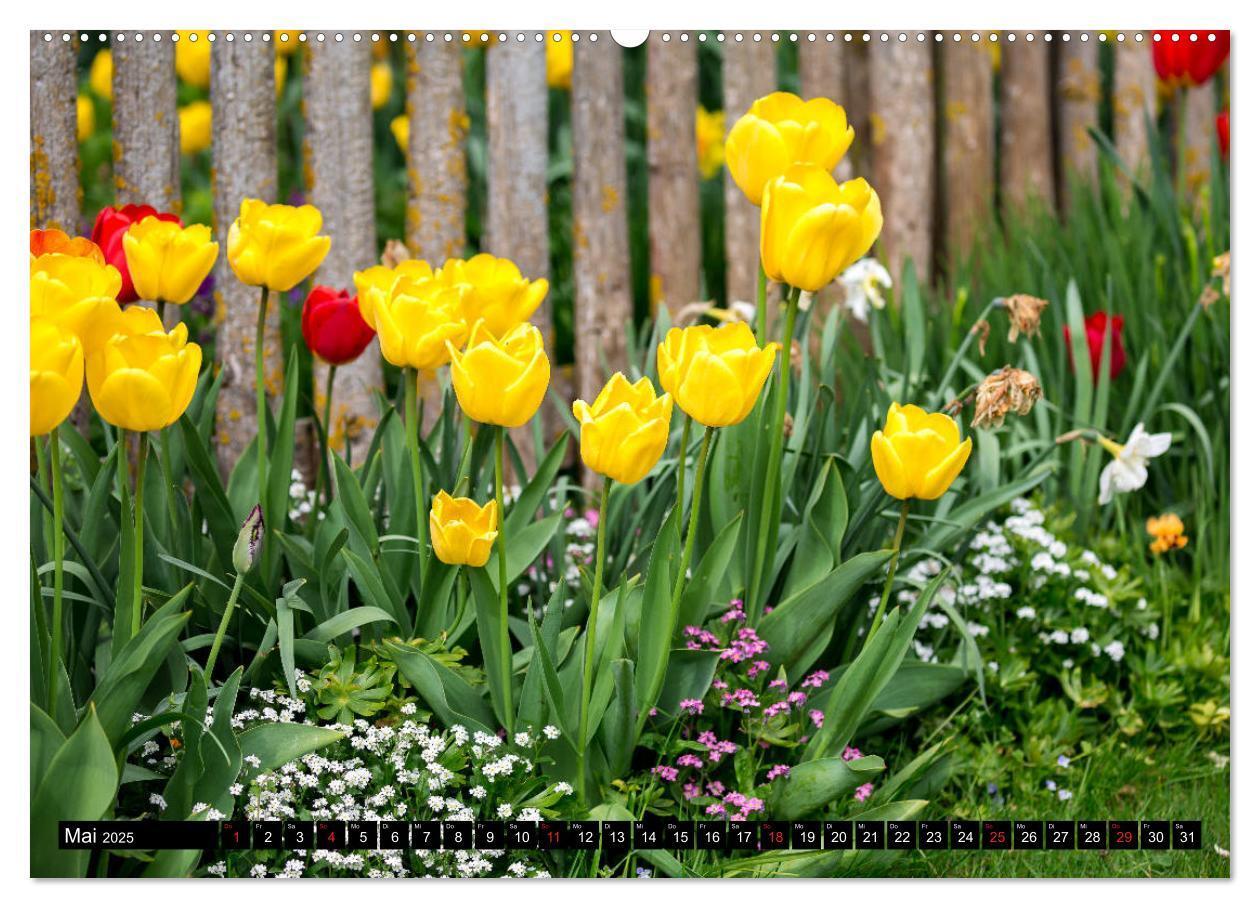 Bild: 9783435226412 | Kleine Blumen ganz groß (hochwertiger Premium Wandkalender 2025 DIN...