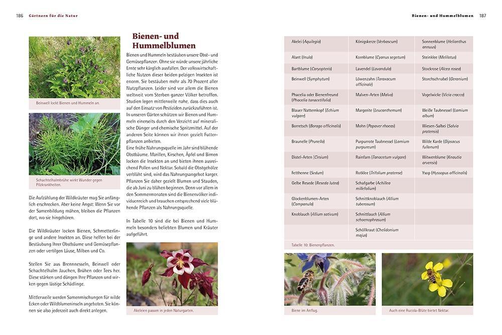 Bild: 9783706626132 | Biogärten gestalten | Doris Kampas | Buch | 440 S. | Deutsch | 2017