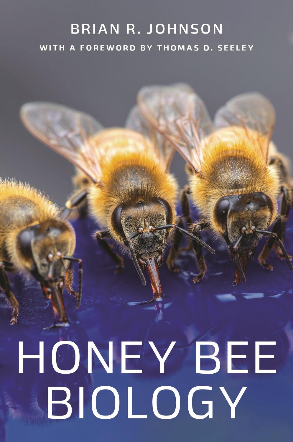 Cover: 9780691204888 | Honey Bee Biology | Brian R. Johnson | Buch | Gebunden | Englisch