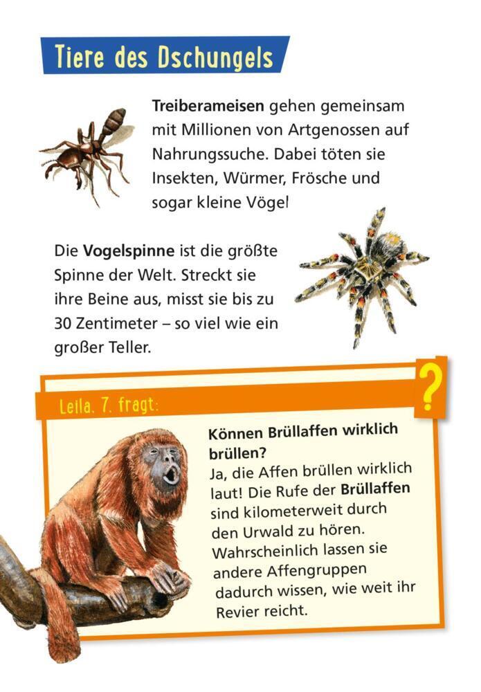 Bild: 9783551242259 | Pixi Wissen 42: Tiere der Welt | Jürgen Beckhoff | Taschenbuch | 2022