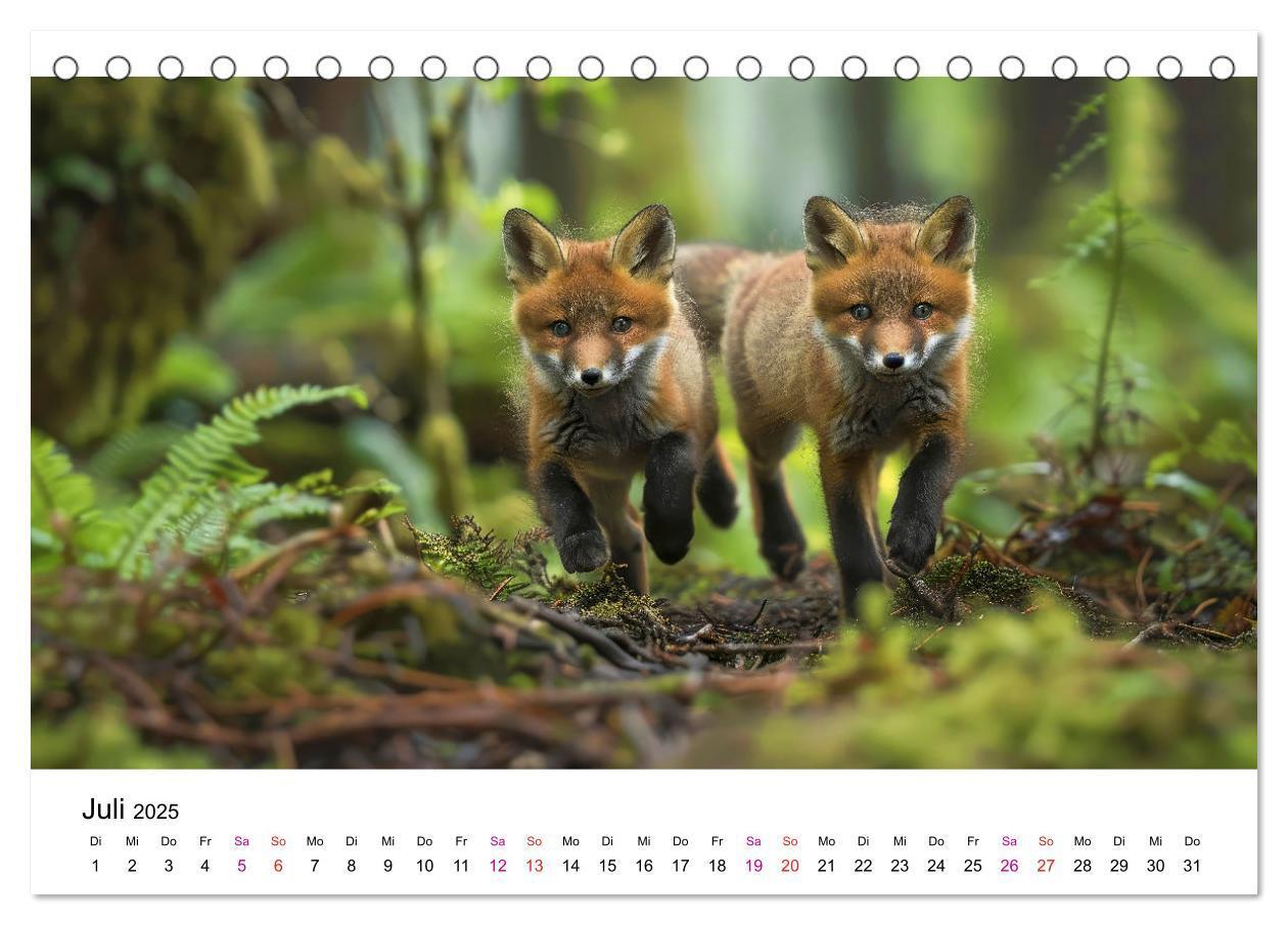 Bild: 9783383815324 | Fuchs - schöne Momente (Tischkalender 2025 DIN A5 quer), CALVENDO...