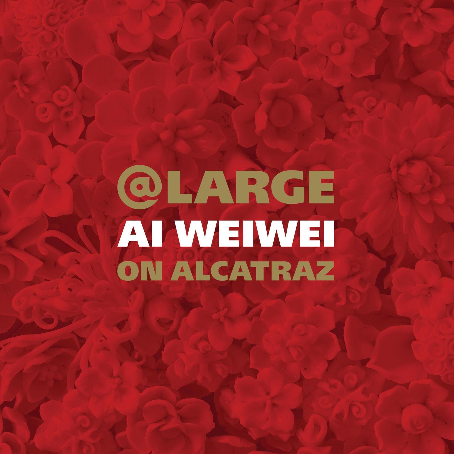 Cover: 9781452142760 | At Large | AI Weiwei on Alcatraz | David Spalding | Buch | Englisch