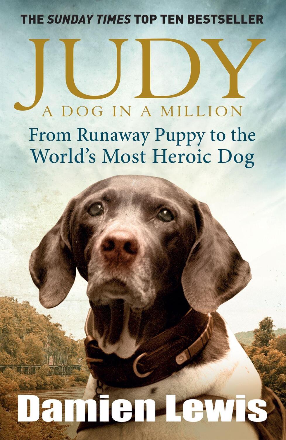 Cover: 9781848665385 | Judy: A Dog in a Million | Damien Lewis | Taschenbuch | Englisch