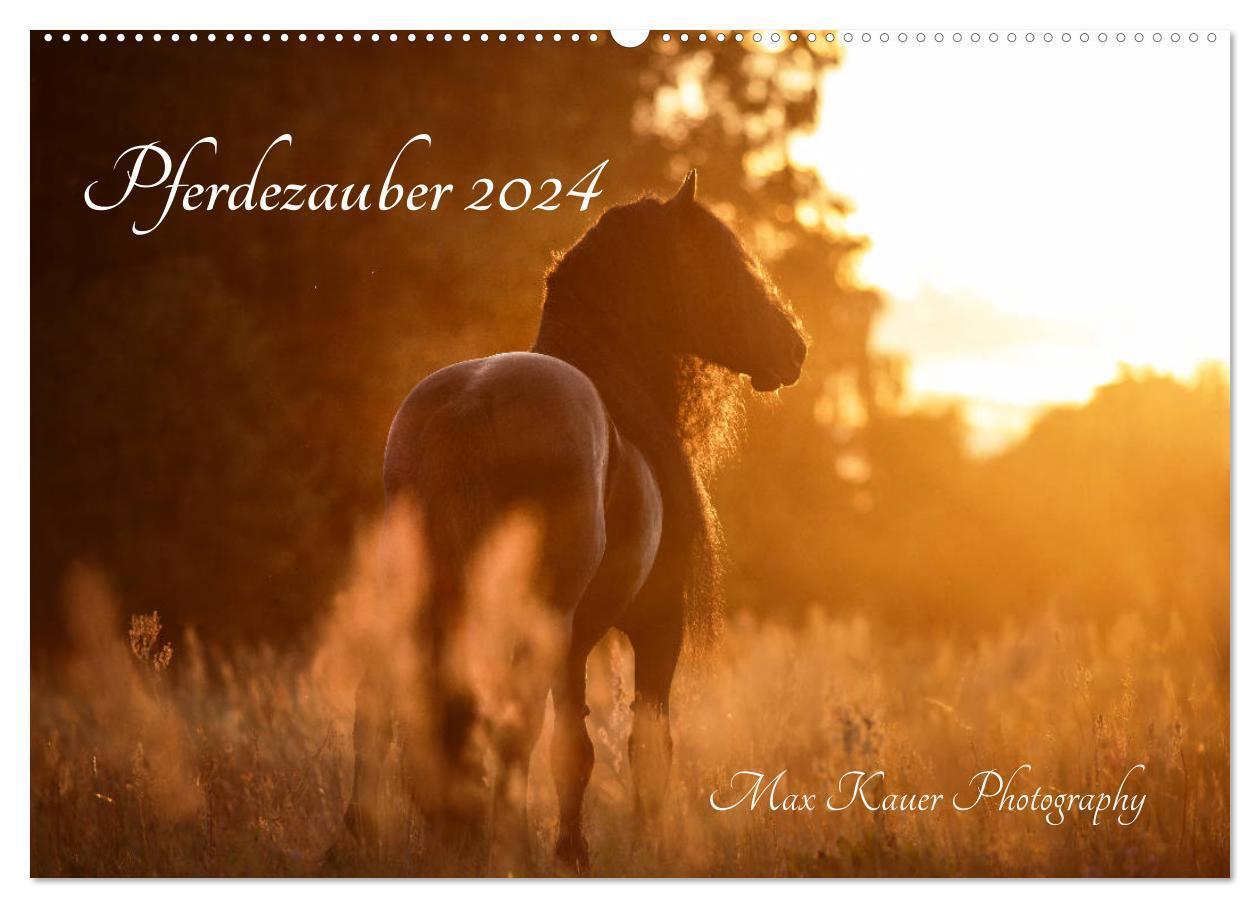 Cover: 9783675686106 | Pferdezauber 2024 (Wandkalender 2024 DIN A2 quer), CALVENDO...
