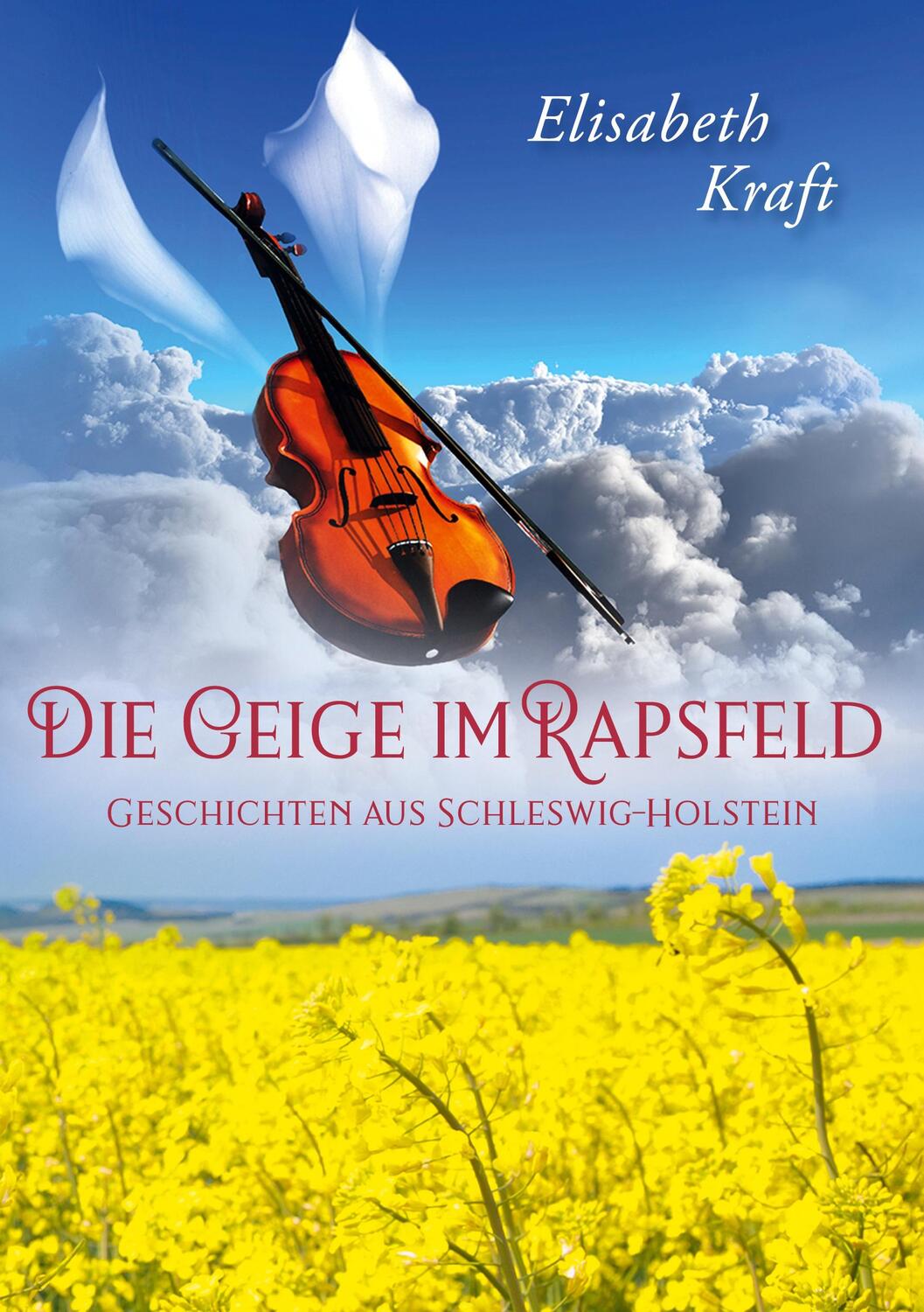 Cover: 9783752633931 | Die Geige im Rapsfeld | Geschichten aus Schleswig-Holstein | Kraft