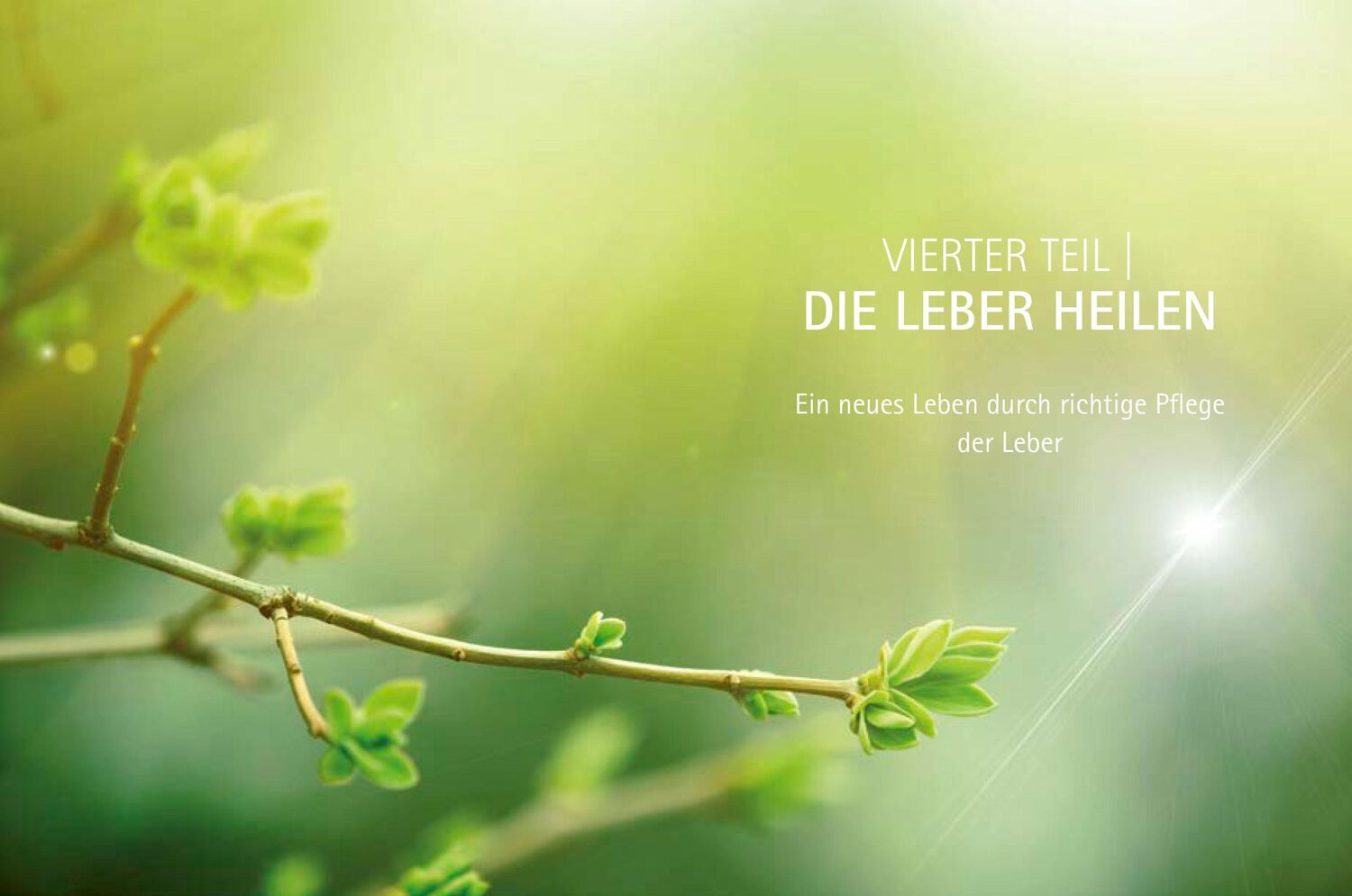 Bild: 9783442342518 | Heile deine Leber | Anthony William | Buch | 576 S. | Deutsch | 2019