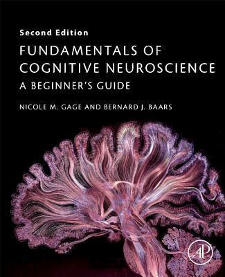 Cover: 9780128038130 | Fundamentals of Cognitive Neuroscience | A Beginner's Guide | Buch