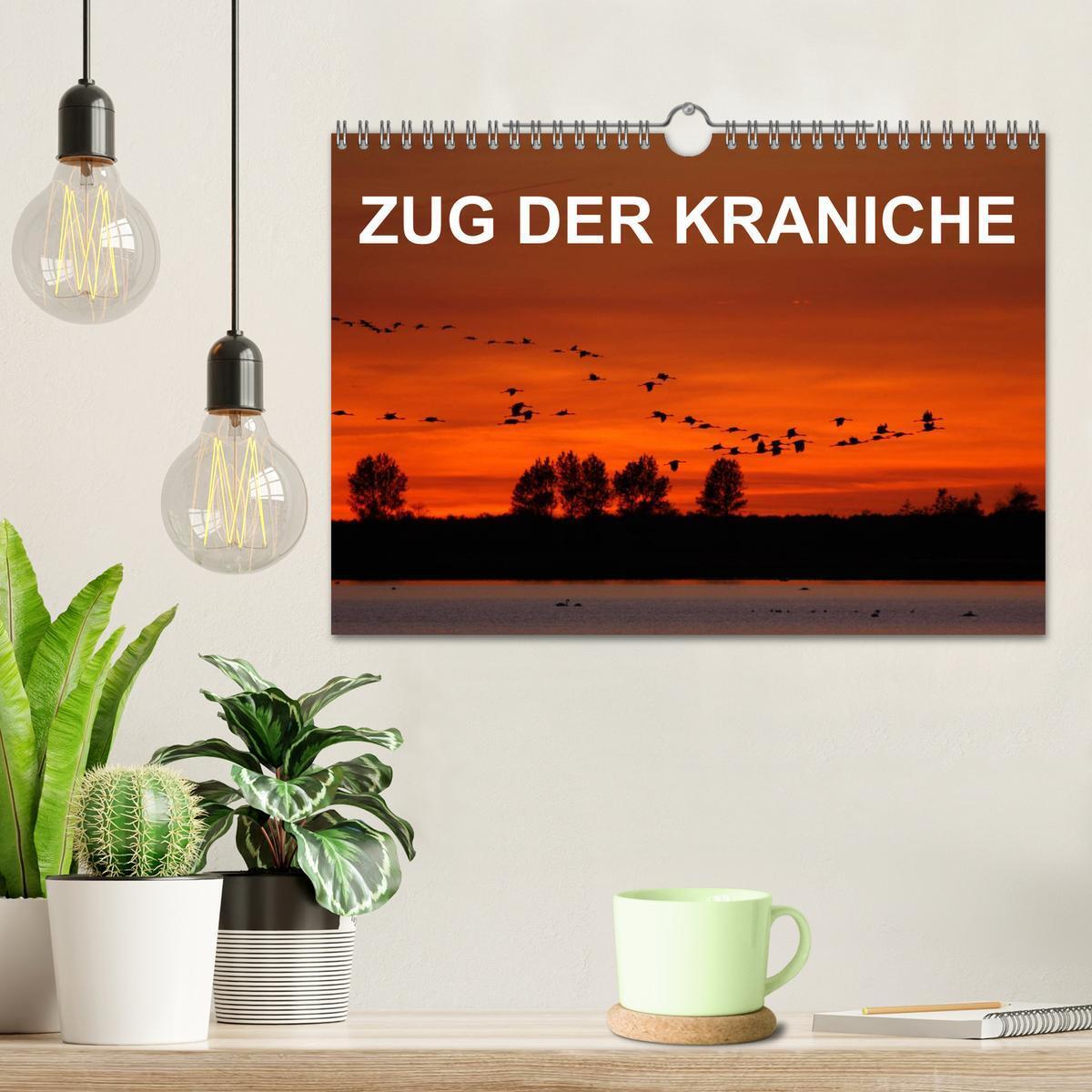 Bild: 9783435612314 | Zug der Kraniche (Wandkalender 2025 DIN A4 quer), CALVENDO...