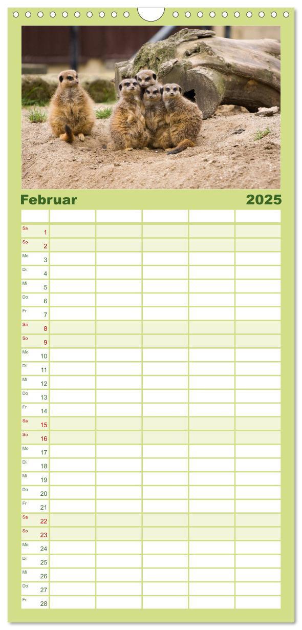 Bild: 9783457109656 | Familienplaner 2025 - Erdmännchen mit 5 Spalten (Wandkalender, 21 x...