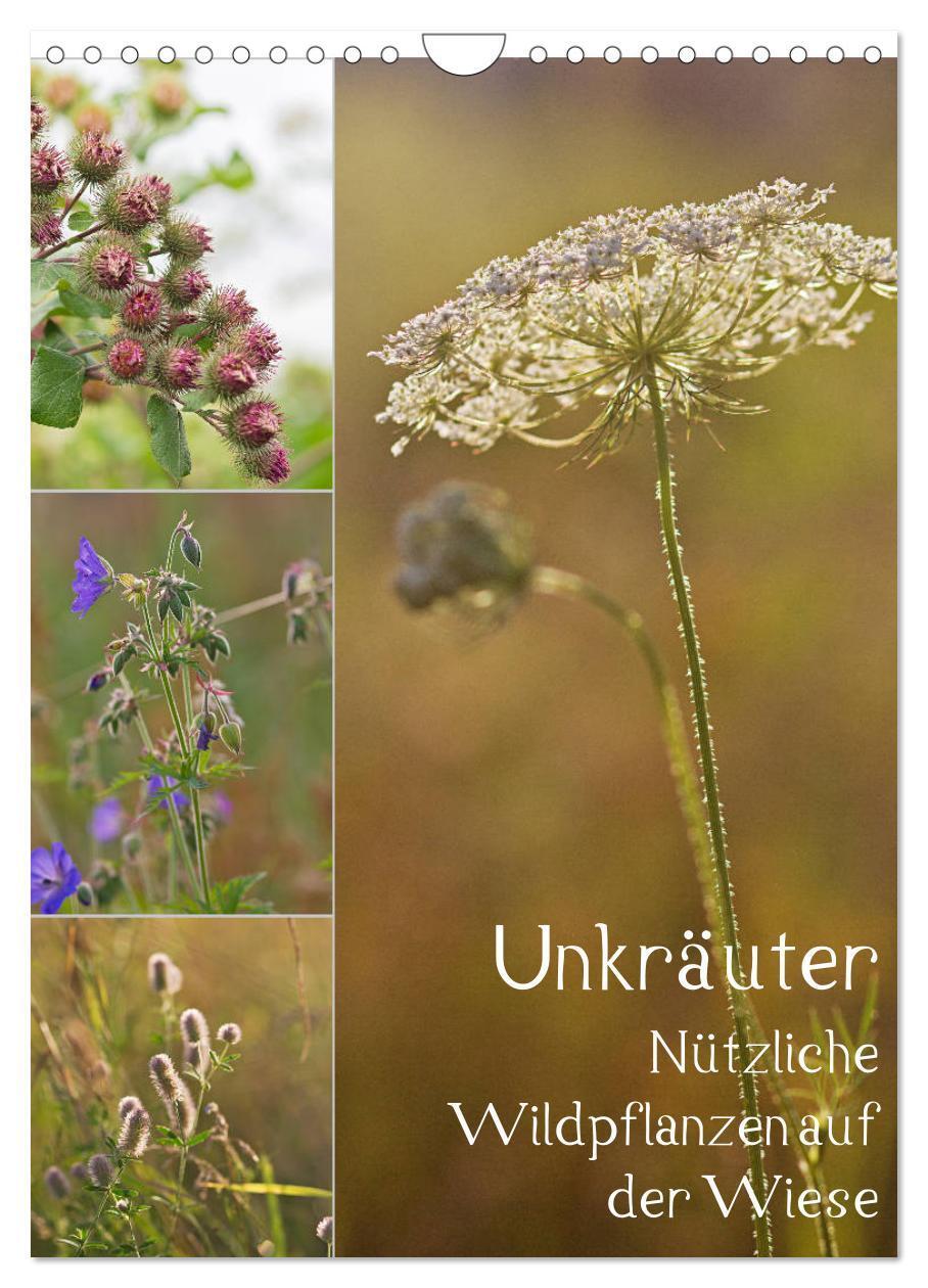 Cover: 9783383233067 | Unkräuter - Nützliche Wildpflanzen auf der Wiese (Wandkalender 2024...