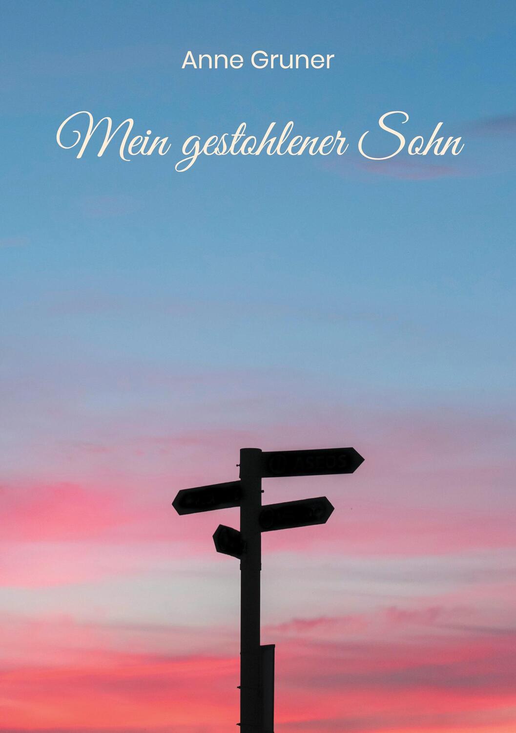 Cover: 9783758308062 | Mein gestohlener Sohn | Anne Gruner | Taschenbuch | Paperback | 160 S.