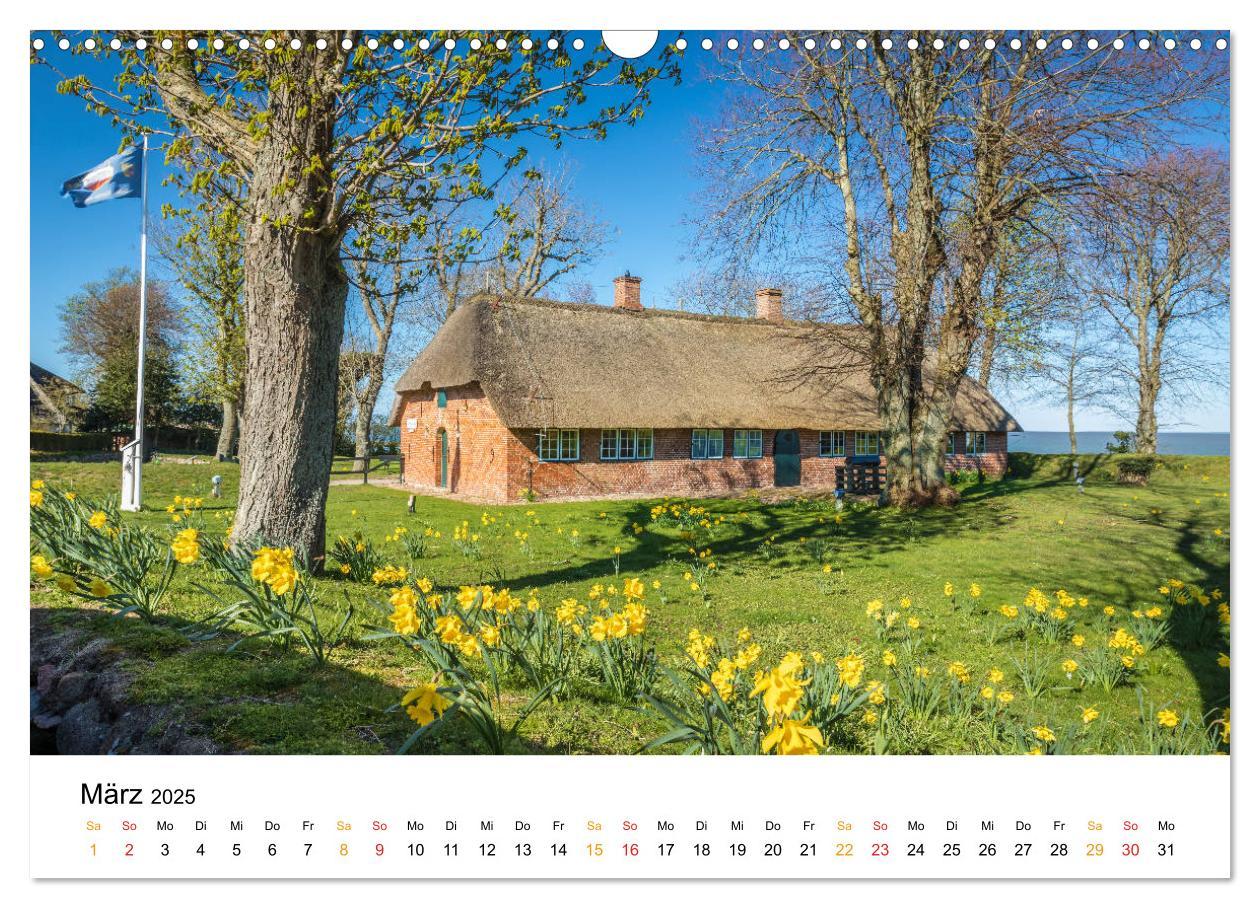 Bild: 9783435152254 | Sylter Friesenhäuser (Wandkalender 2025 DIN A3 quer), CALVENDO...