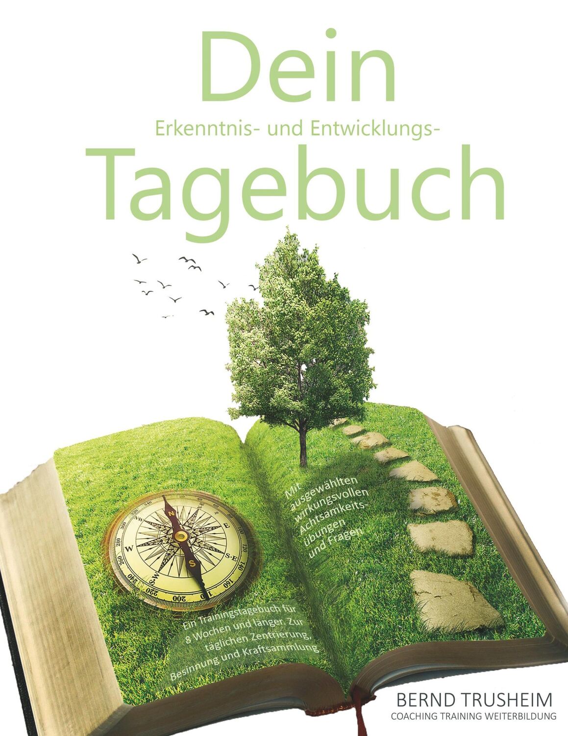 Cover: 9783752830644 | Dein Erkenntnis- und Entwicklungstagebuch | Bernd Trusheim | Buch