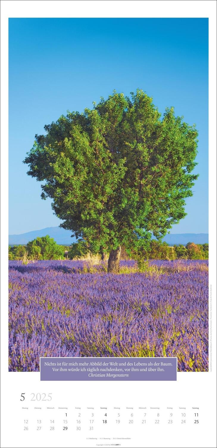 Bild: 9783839900222 | Wunderwelt der Bäume Kalender 2025 | Kalender | Spiralbindung | 14 S.