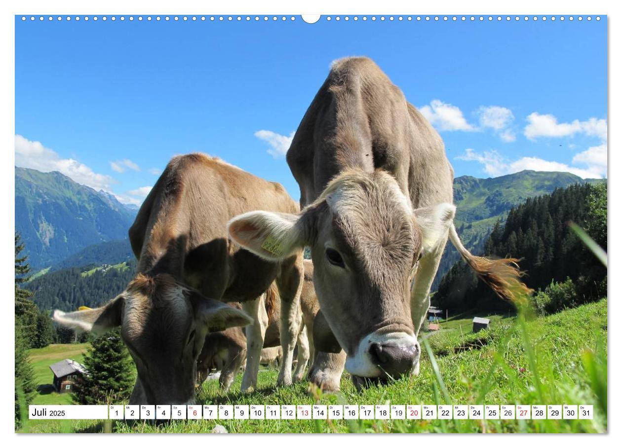 Bild: 9783435481934 | Geliebte Steiermark im Herzen Österreichs (Wandkalender 2025 DIN A2...