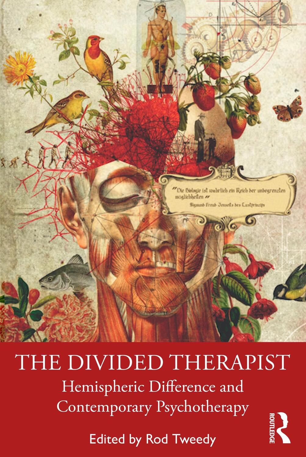 Cover: 9780367504427 | The Divided Therapist | Taschenbuch | Einband - flex.(Paperback)