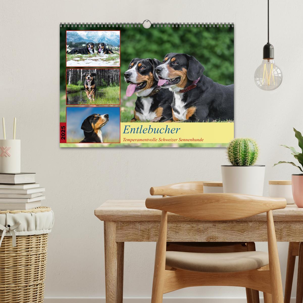 Bild: 9783457198964 | Entlebucher - Temperamentvolle Schweizer Sennenhunde (Wandkalender...