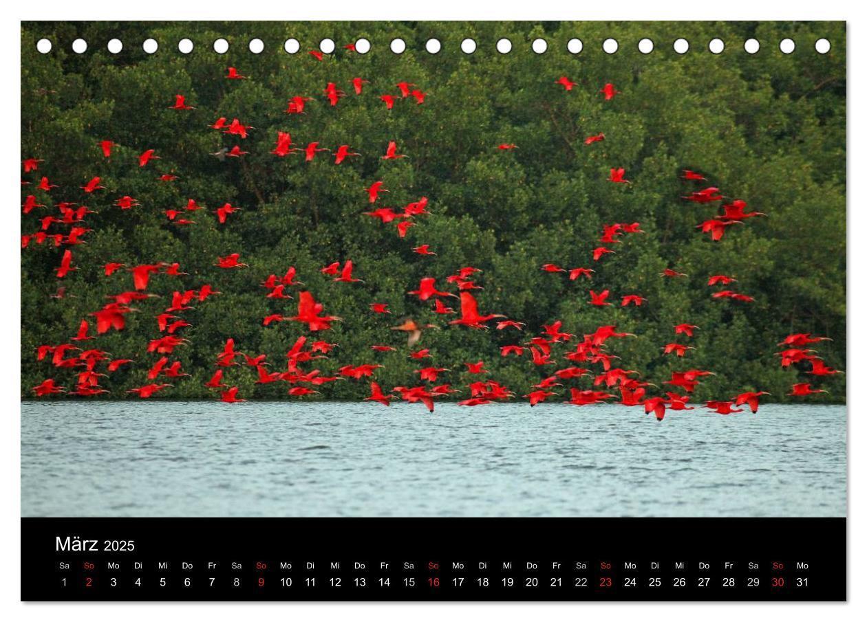 Bild: 9783435809394 | Trinidad &amp; Tobago (Tischkalender 2025 DIN A5 quer), CALVENDO...