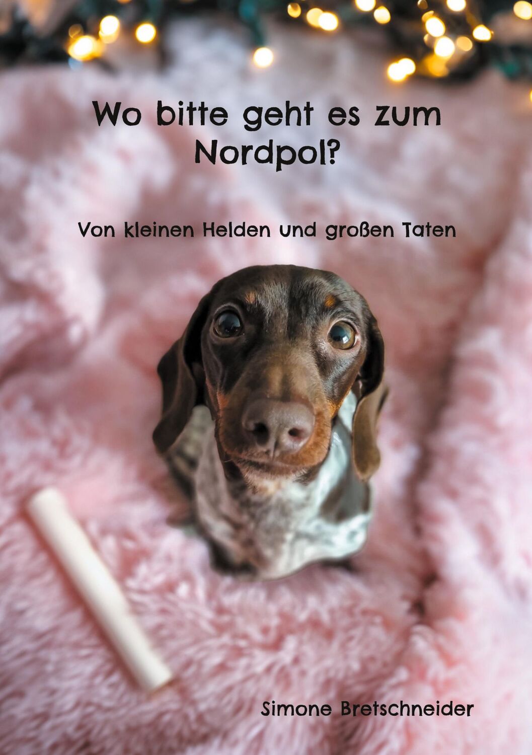 Cover: 9783758300295 | Wo bitte geht es zum Nordpol? | Von kleinen Helden und großen Taten