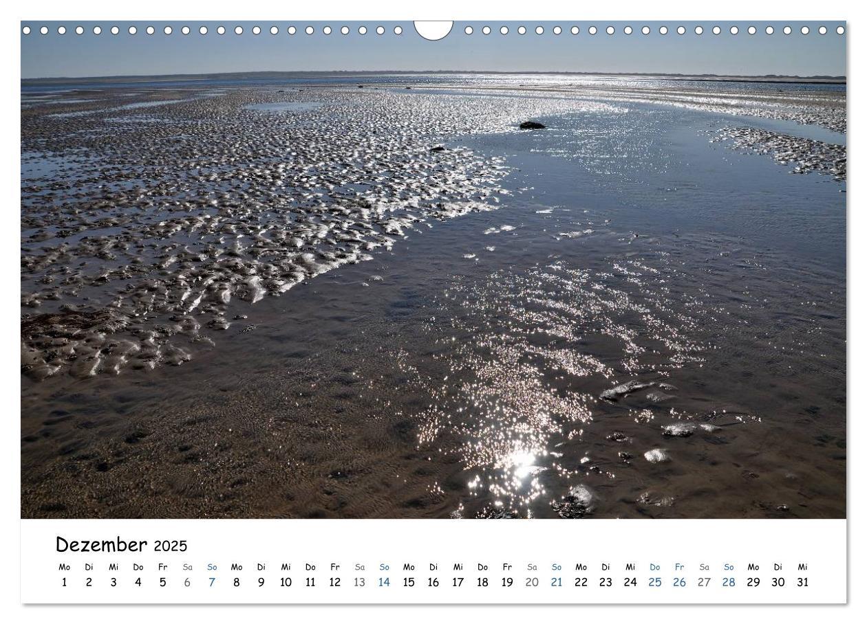 Bild: 9783435757671 | Föhr und Halligwelt 2025 (Wandkalender 2025 DIN A3 quer), CALVENDO...