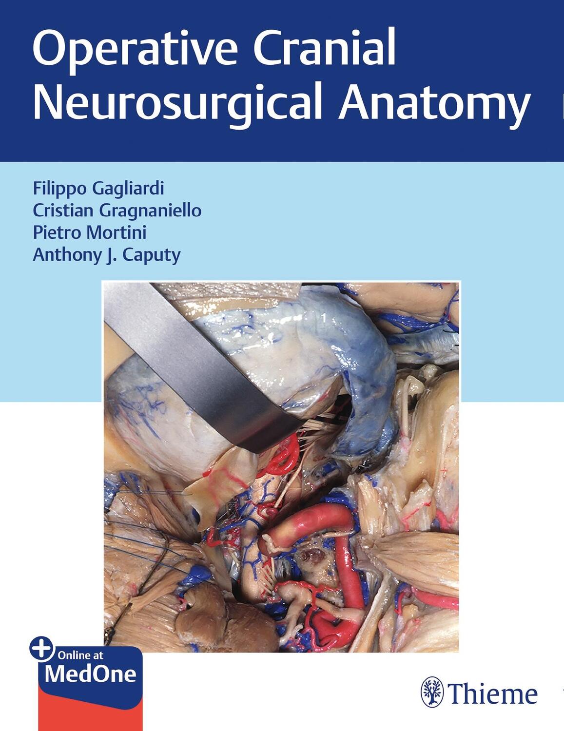 Cover: 9781626232167 | Operative Cranial Neurosurgical Anatomy | Filippo Gagliardi (u. a.)