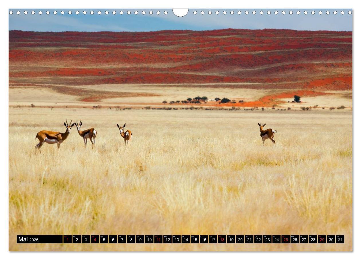 Bild: 9783435617425 | Namib Naukluft Nationalpark. NAMIBIA 2025 (Wandkalender 2025 DIN A3...