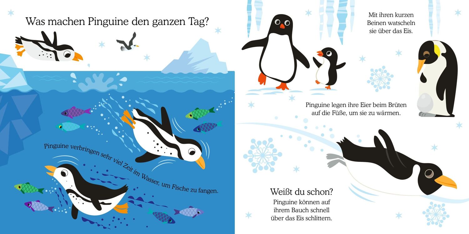 Bild: 9783737359559 | Glücksfisch: Weißt du, was die Tiere machen? Kleiner Pinguin | Buch