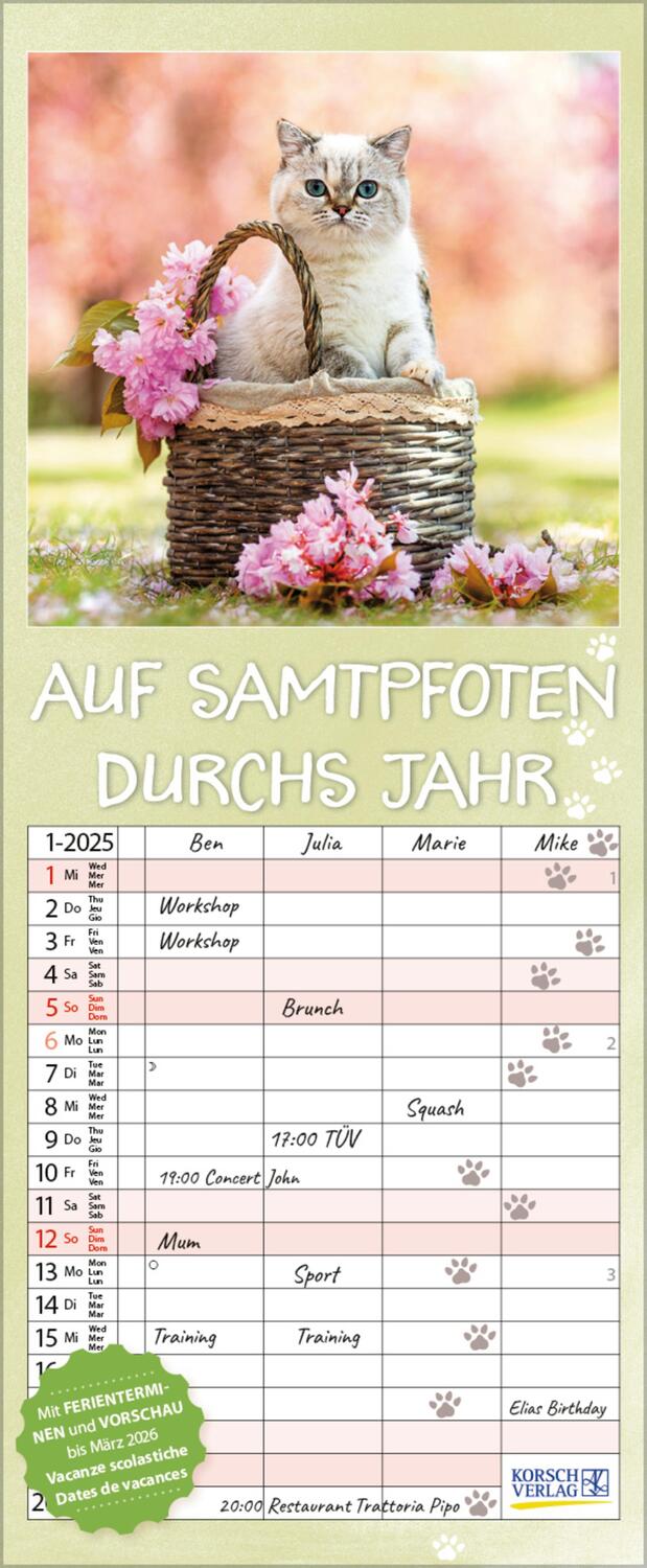 Cover: 9783731876922 | Auf Samtpfoten durch's Jahr 2025 | Verlag Korsch | Kalender | 14 S.