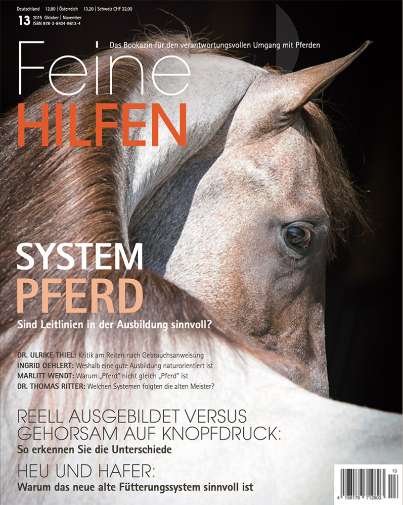 Cover: 9783840496134 | System Pferd - Sind Leitlinien in der Ausbildung sinnvoll? | Buch