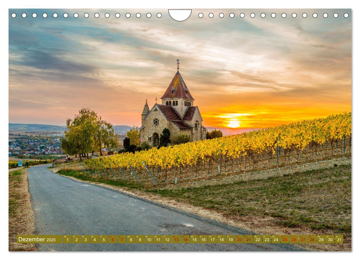 Bild: 9783383923791 | Weinberg-Architektur in Rheinhessen (Wandkalender 2025 DIN A4...