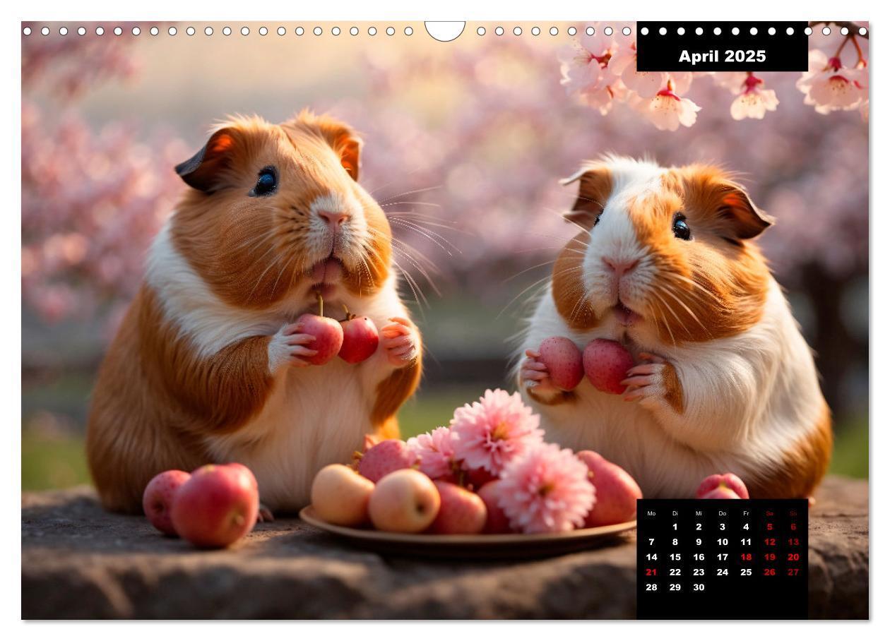 Bild: 9783435012527 | Meerschweinchen mal anders! (Wandkalender 2025 DIN A3 quer),...