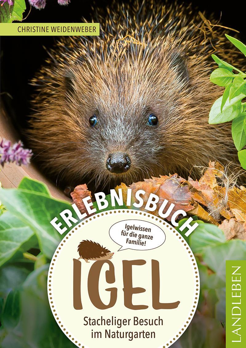 Cover: 9783840430626 | Erlebnisbuch Igel | Stacheliger Besuch im Naturgarten | Weidenweber