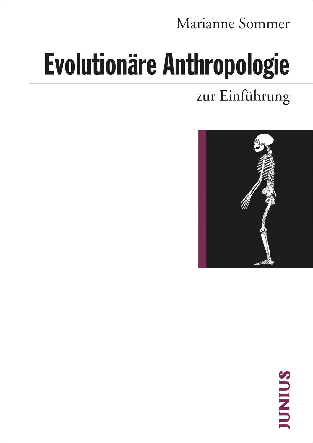 Cover: 9783885060918 | Evolutionäre Anthropologie zur Einführung | Marianne Sommer | Buch